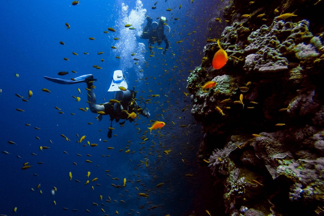 Scuba Diving In Pondicherry A Complete Guide