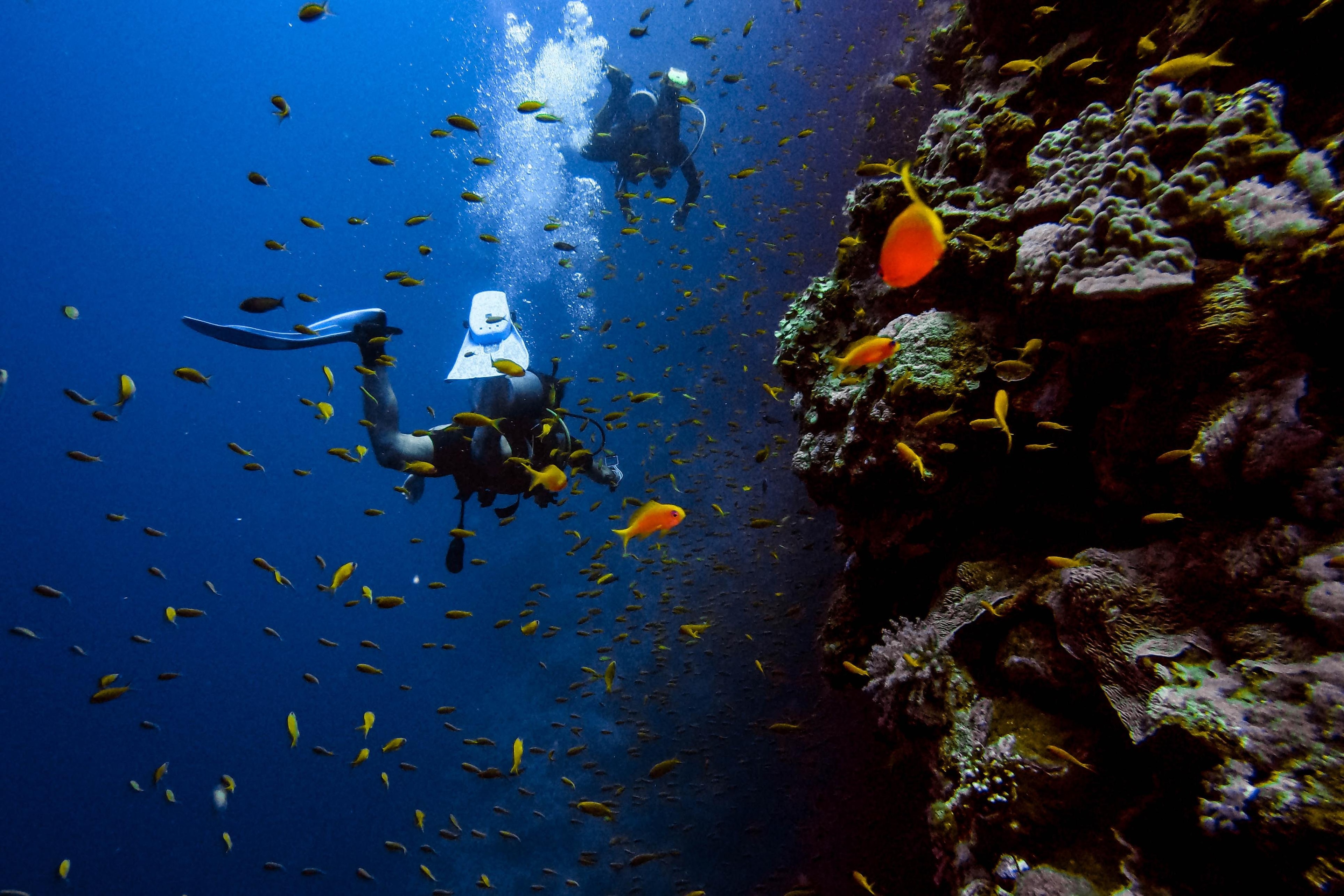 The Most Unique Dive Sites on Earth