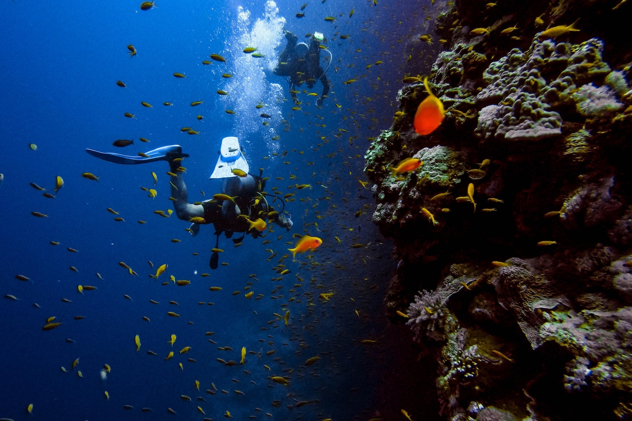 The Most Unique Dive Sites on Earth