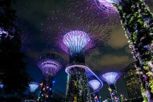 Gardens By The Bay – Architecture