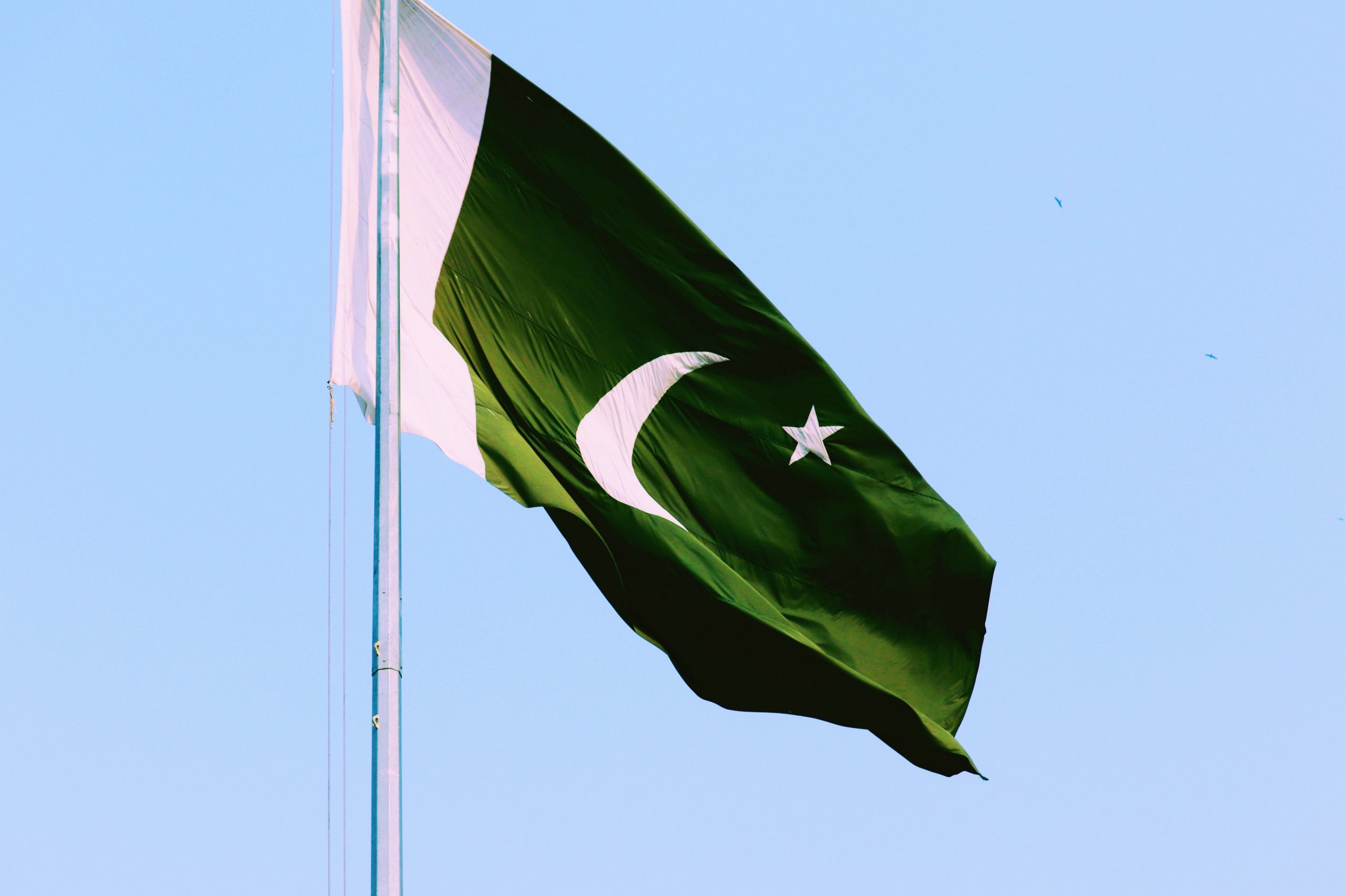 India’s neighbouring country Pakistan has chosen which animal to be their national symbol?