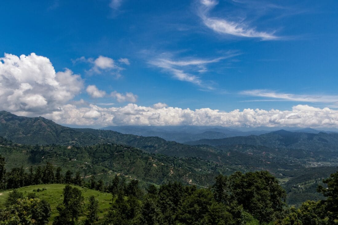5 National Parks You Must Visit In Himachal Pradesh | Veena World