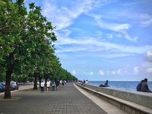 Marine drive