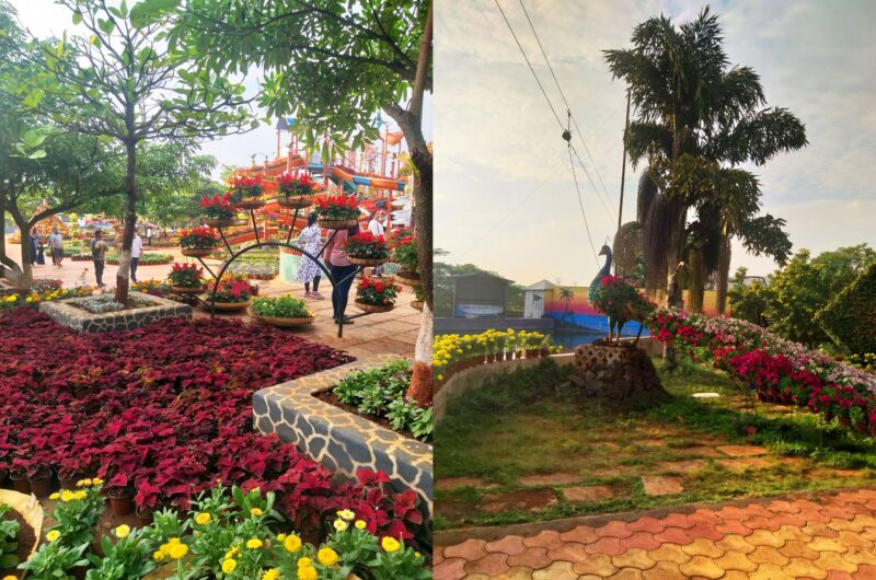 Nashik Flower Park Best Time to Visit, Timings, and More Information