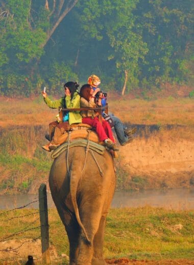 Chitwan National Park e1639387895950