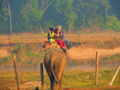 Chitwan National Park Nepal – A Guide to Visiting the Best Wildlife in Asia