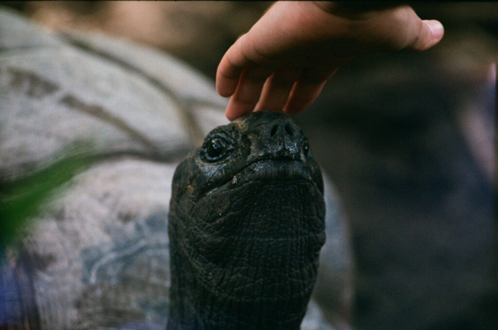 Aldabra Island