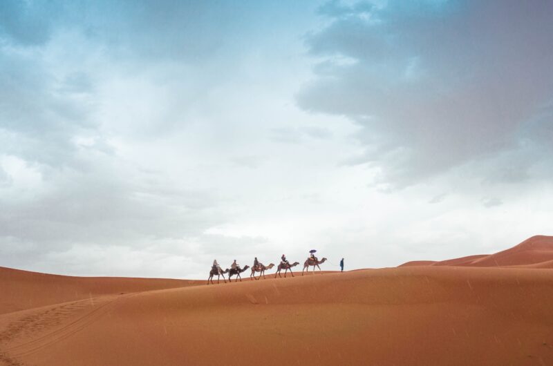 Desert Camel scaled e1642156003182