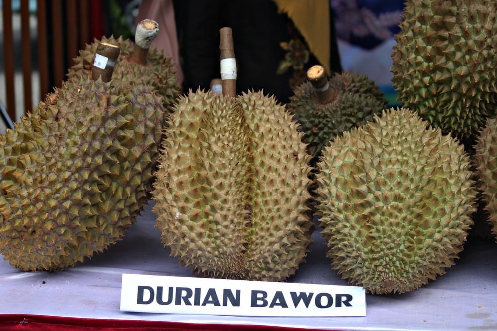 Which fruit in Singapore is known as the ‘King of Fruits’? 