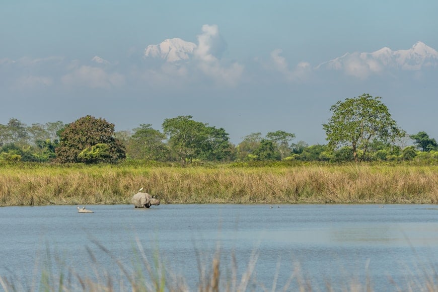 Where is the Kaziranga national park located?