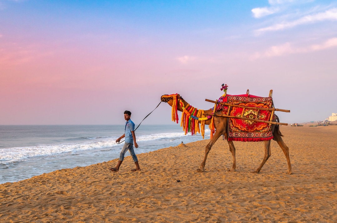 Meet The Heavenly Beaches in Puri | Veena World