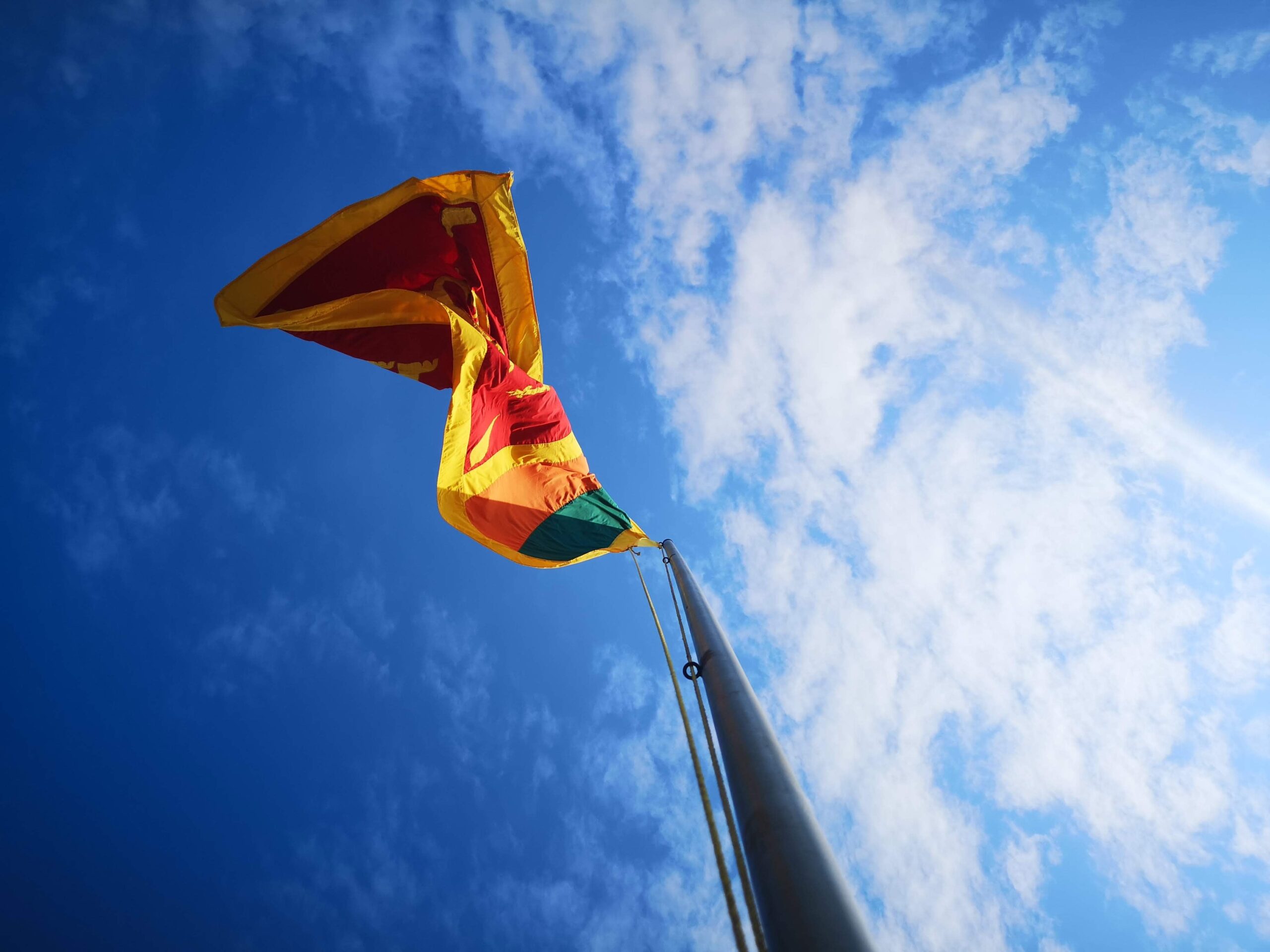 3. What animal appears on the flag of Sri Lanka?