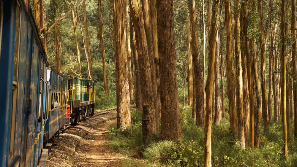 Toy Train Ride Ooty