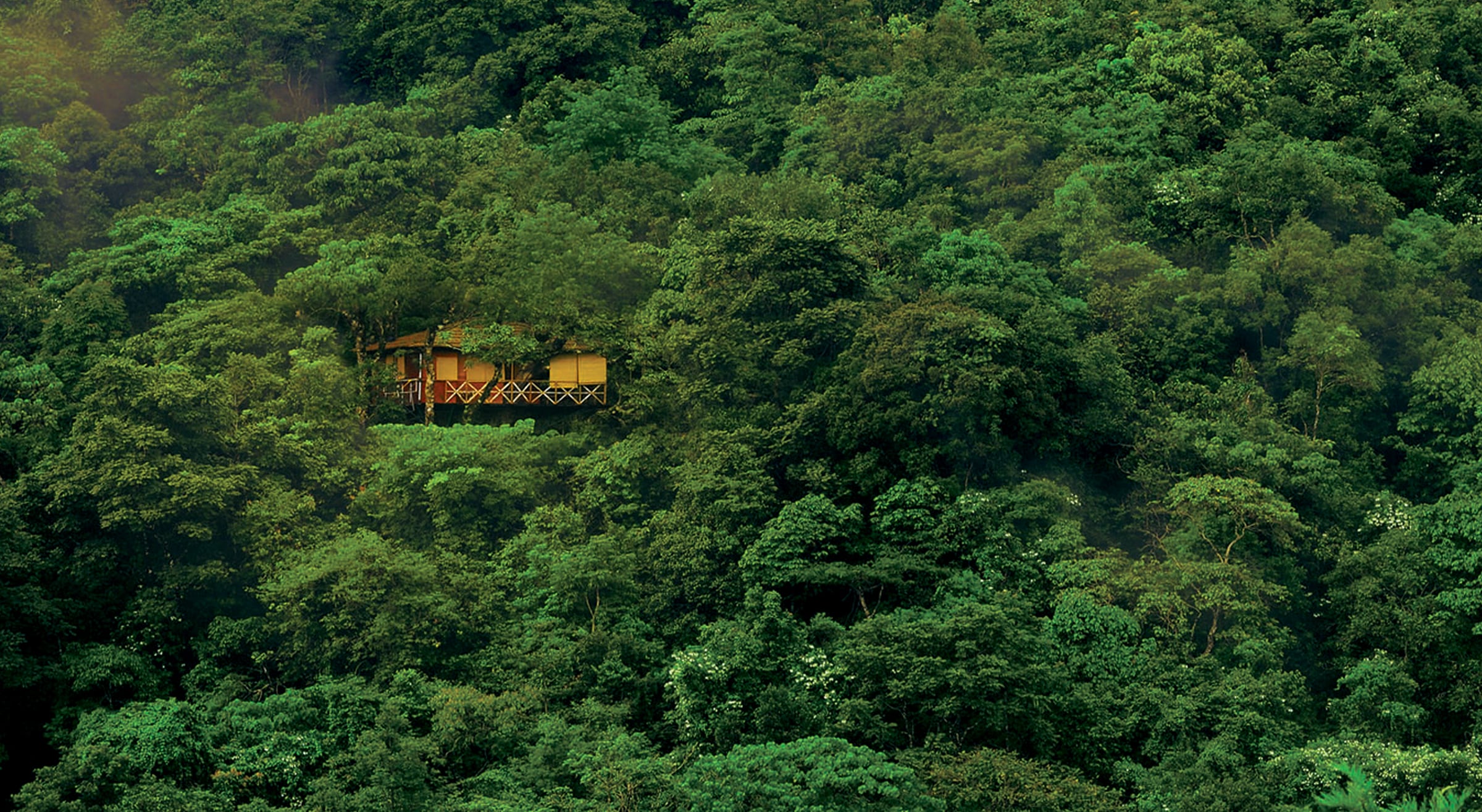Forest Lodges in India | Veena World
