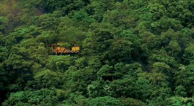 Forest Lodges in India | Veena World