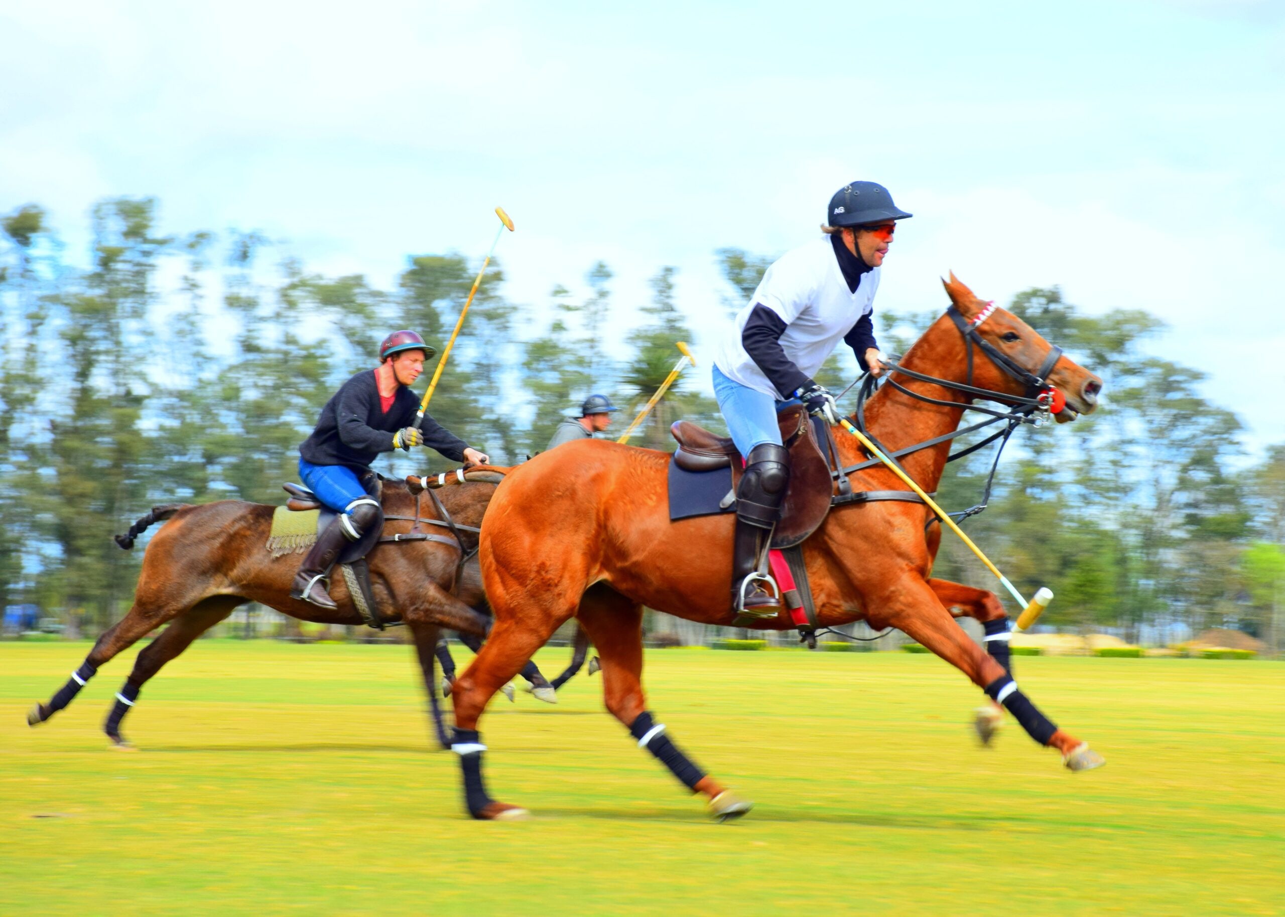 Polo is very popular in Nepal. On what animal-back is it played?