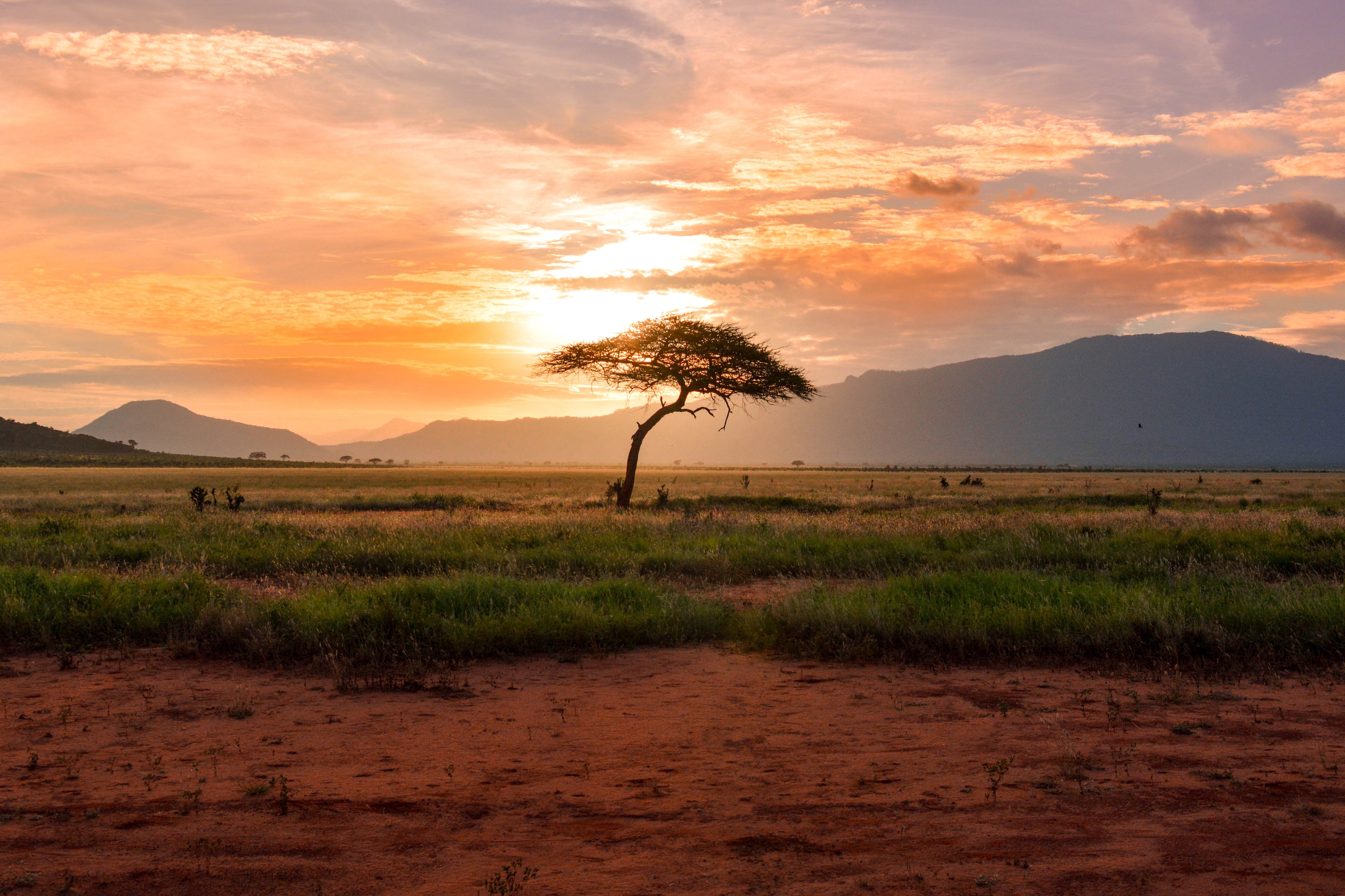 The Best Safari Destinations in Africa: An Ultimate Guide