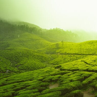 Well Known and Lesser Known The Top 10 Hill Stations In South India scaled e1652525781963