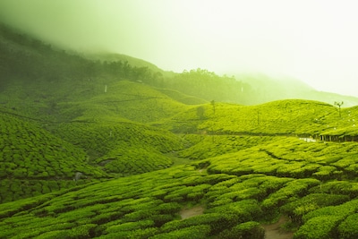 Well-Known and Lesser-Known:The Top 10 Hill Stations In South India