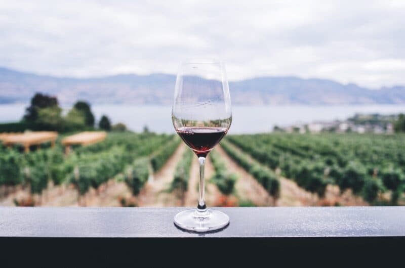 All You Need to Know About Wine Tasting in Nashik scaled e1656430305507