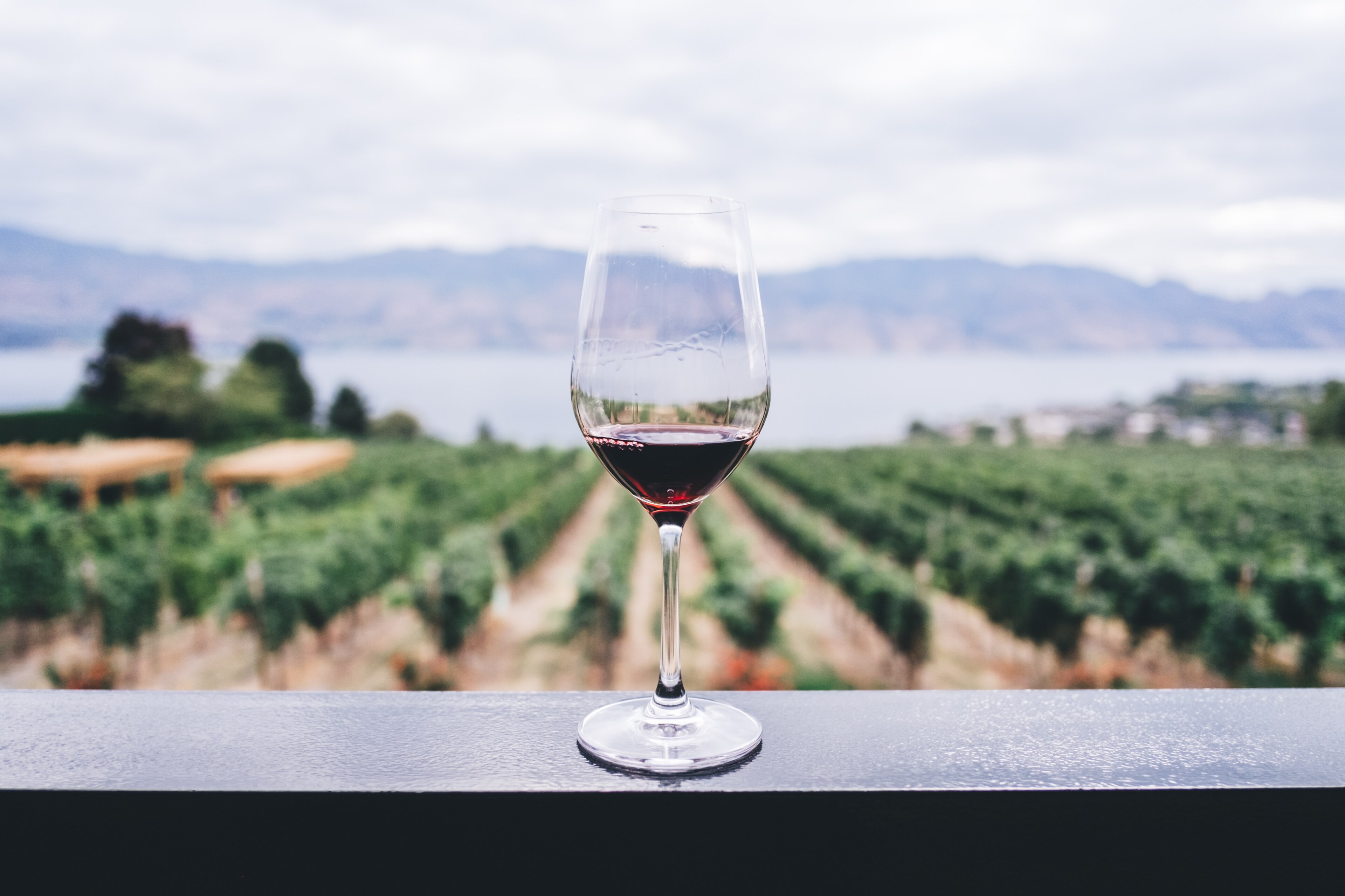 All You Need to Know About Wine Tasting in Nashik