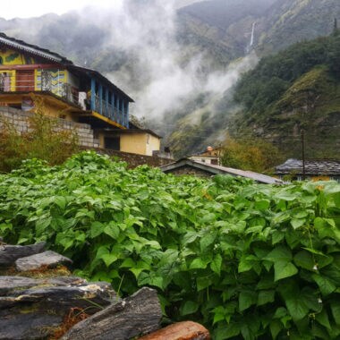 Best Homestays in the Himalayas scaled e1656012782549