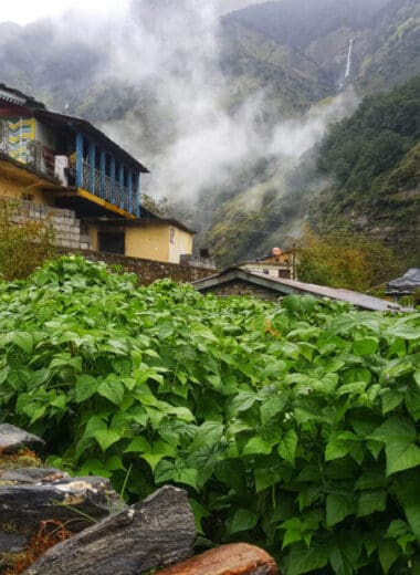 Best Homestays in the Himalayas