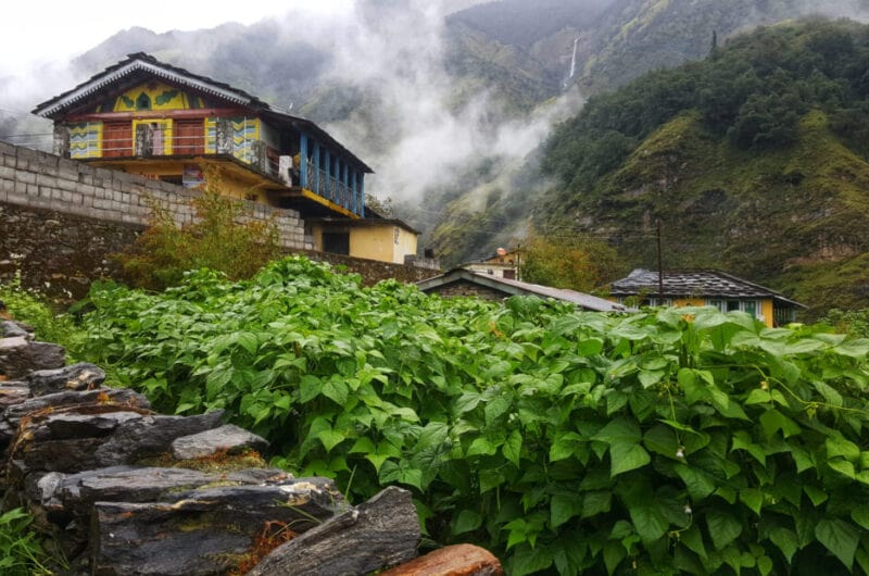 Best Homestays in the Himalayas scaled e1656012782549