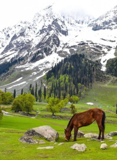 Hotels in Pahalgam A Perfect Getaway In The Lap of Nature