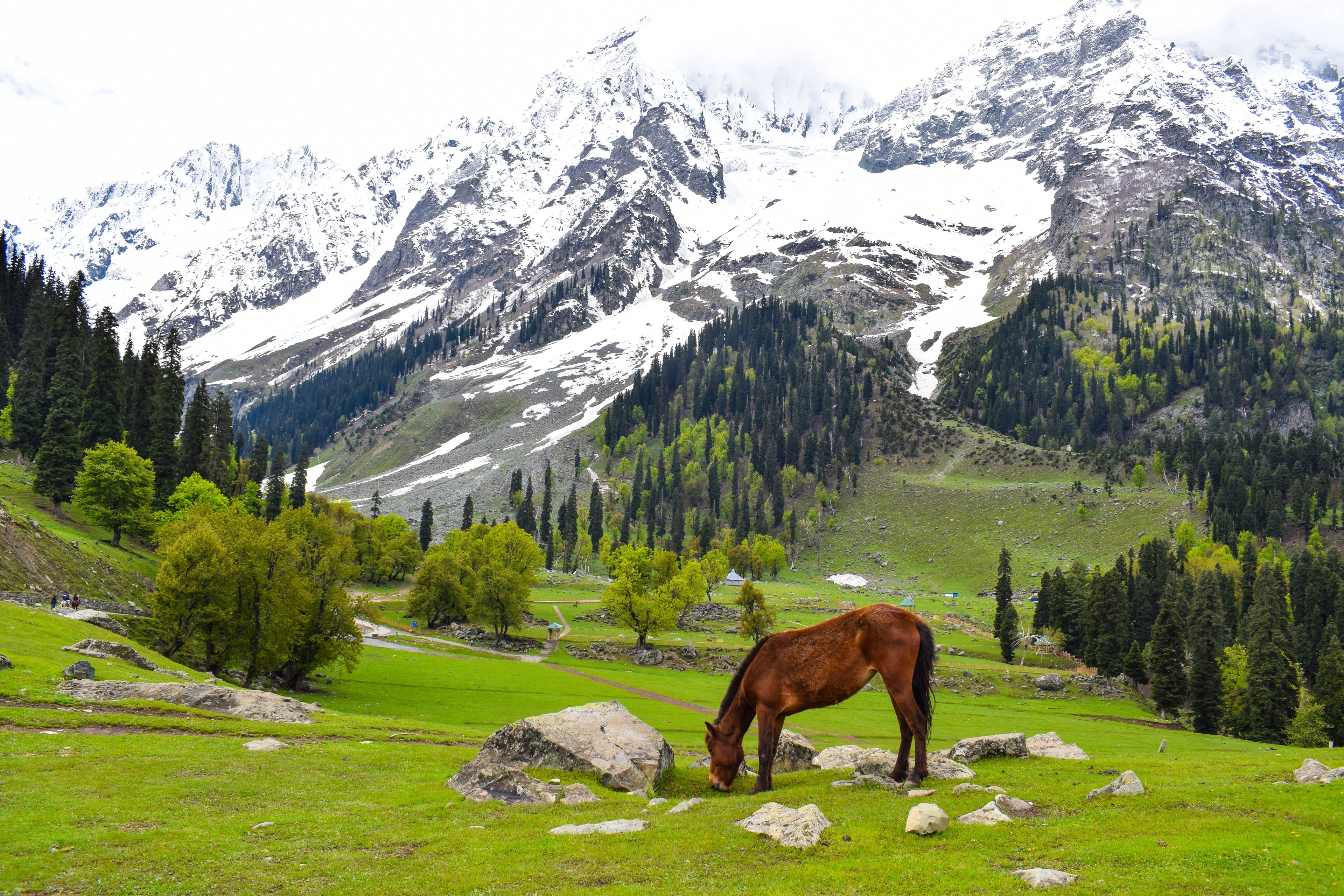 Hotels in Pahalgam - A Perfect Getaway In The Lap of Nature