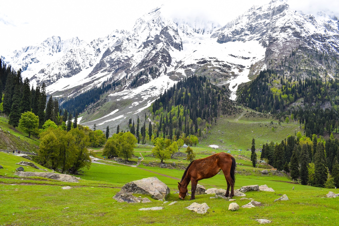 Hotels in Pahalgam - A Perfect Getaway In The Lap of Nature