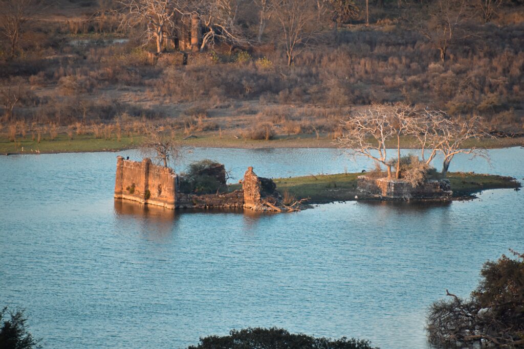 Best Time to Visit Ranthambore