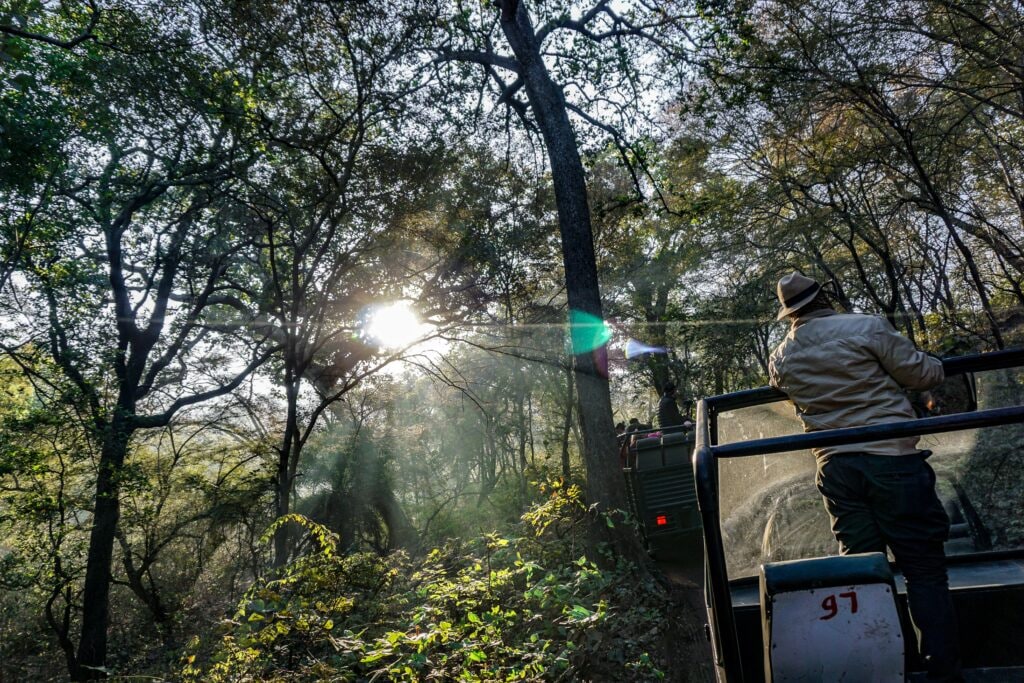 Ranthambore Tiger Reserve