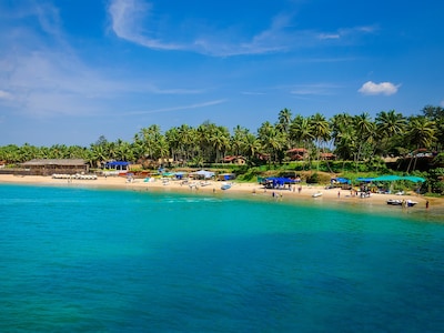 Top Beach-facing Hotels in Goa You Can Choose to Stay In