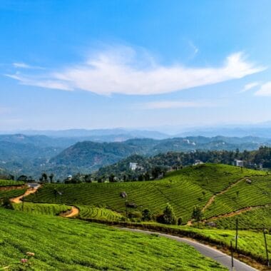 9 Best Places to Visit in the Hill Station of Munnar