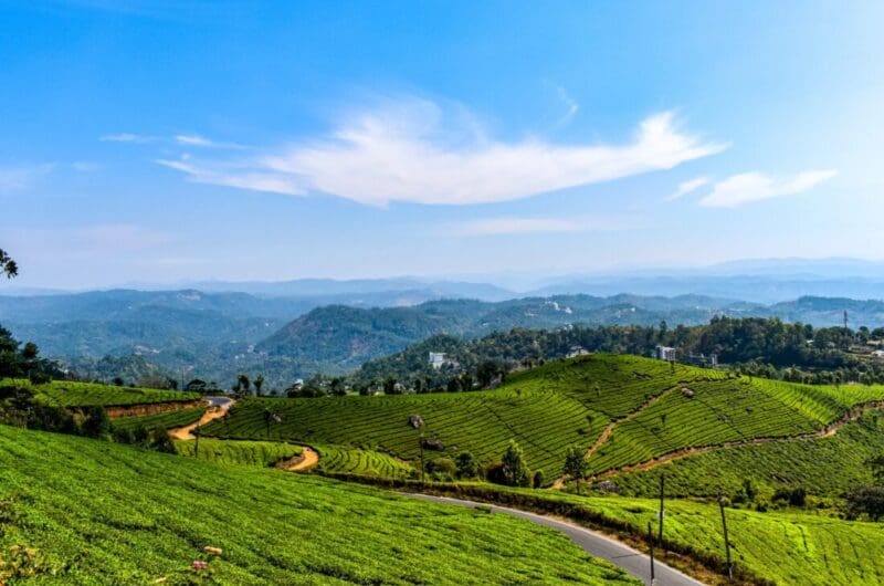 9 Best Places to Visit in the Hill Station of Munnar