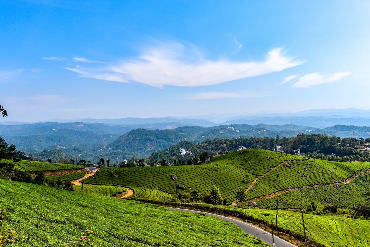 Best time to Visit Munnar: Weather, Seasons & Places to Explore