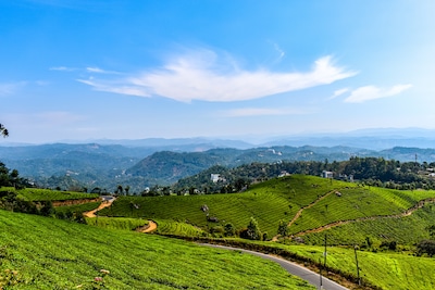 Best time to Visit Munnar: Weather, Seasons & Places to Explore