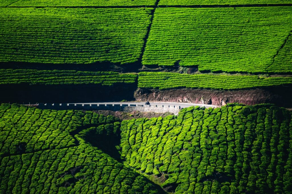 Munnar