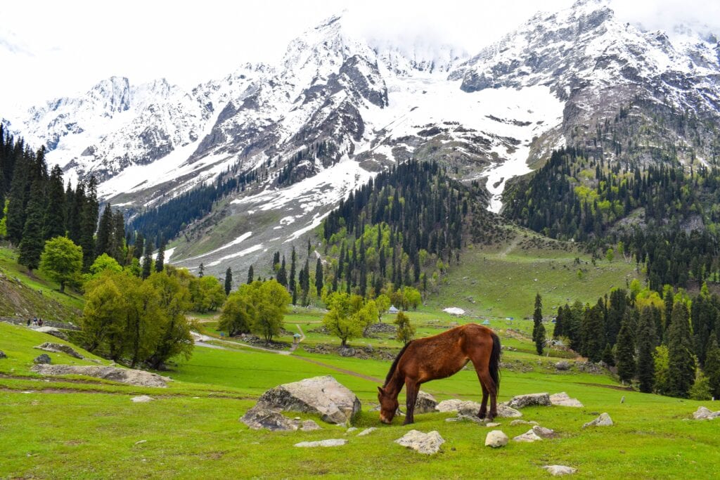 Things to Do in Sonmarg