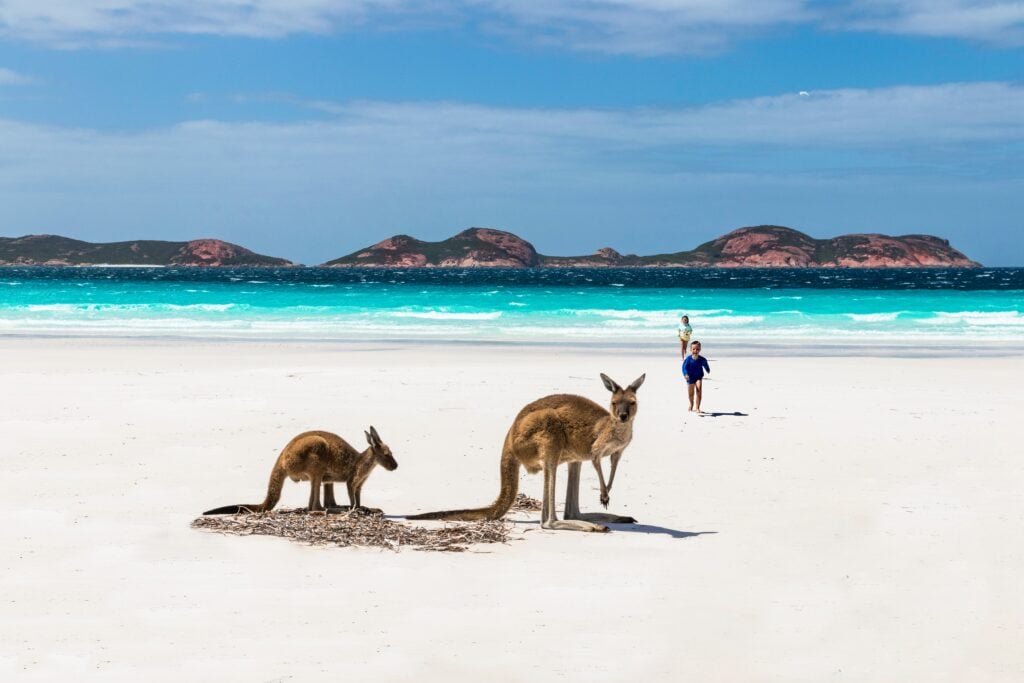 things to know before visiting Australia