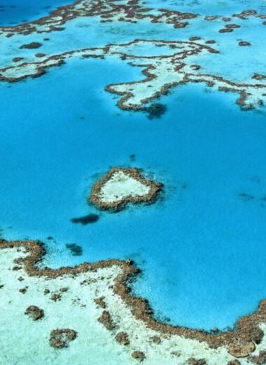 Great Barrier Reef in Australia A Definitive Guide for Travellers