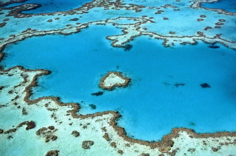 Great Barrier Reef in Australia A Definitive Guide for Travellers