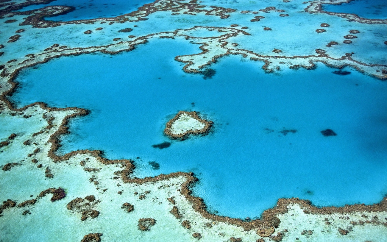 Great Barrier Reef in Australia - A Definitive Guide for Travellers