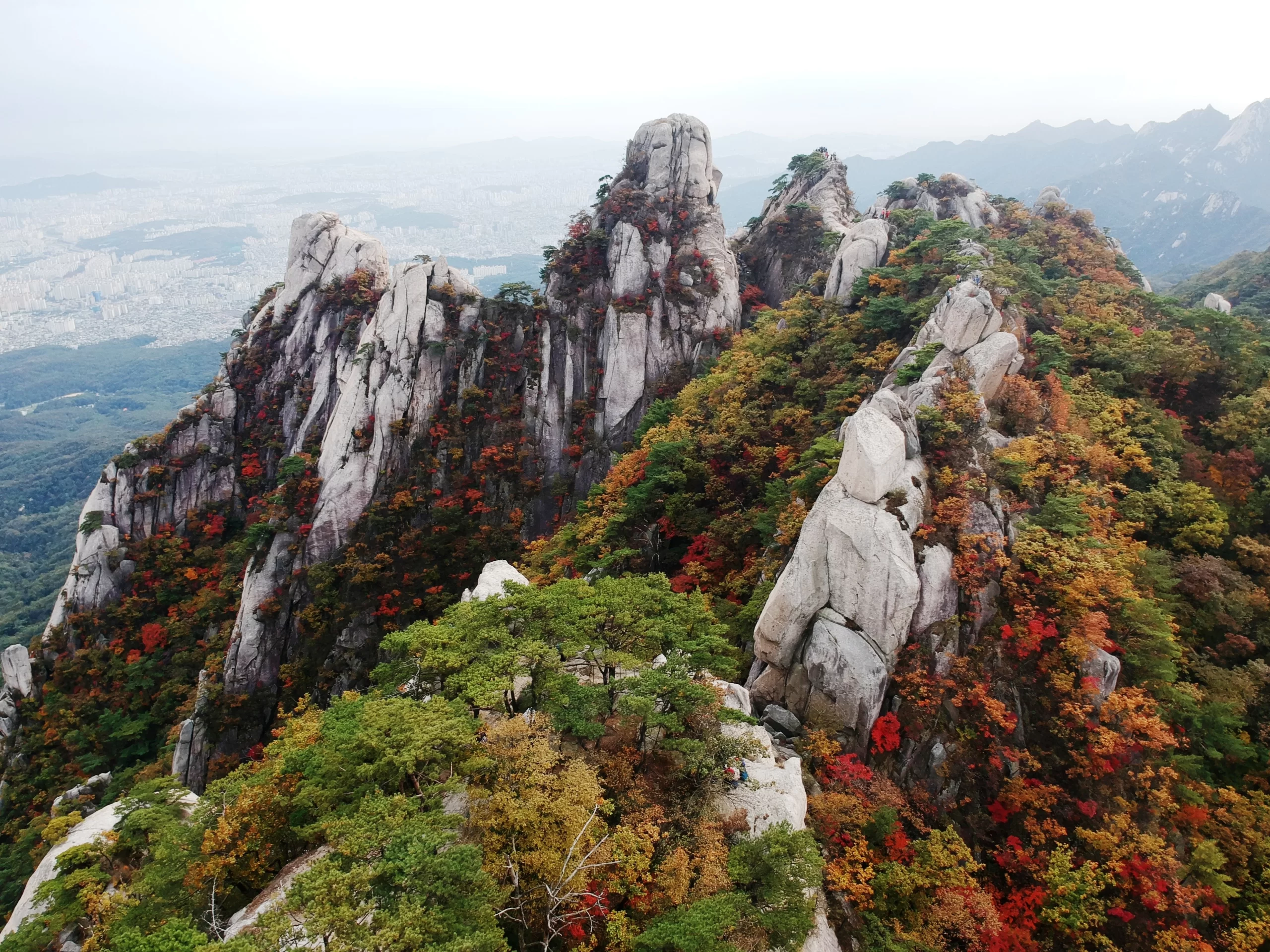 South Korea Autumn