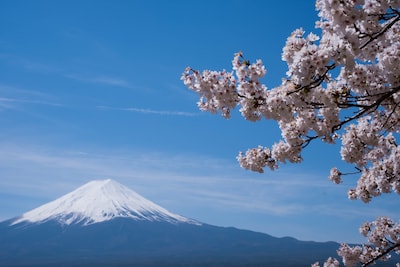Take A Trip of a Lifetime to Mount Fuji