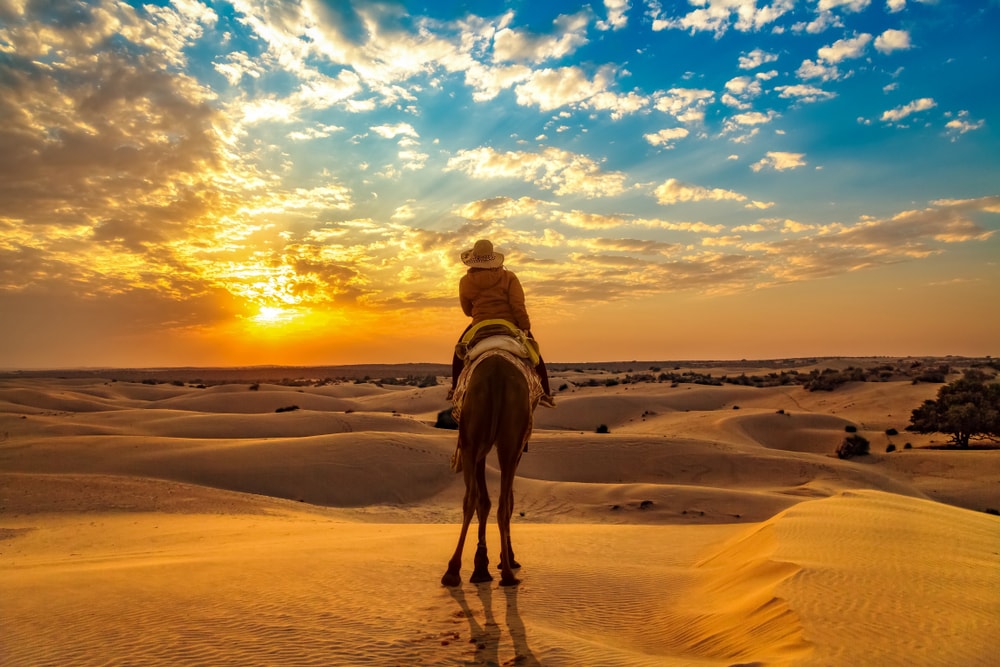 Book a Desert Safari