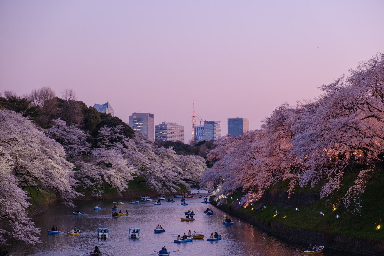 All You Need to Know about the Culture of Japan for Your Next Trip