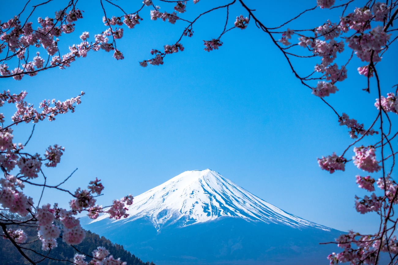 Discovering Tokyo: Where the History and Future Meet