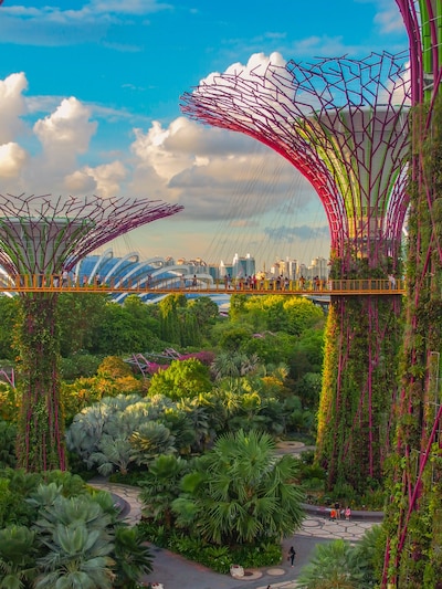 Discovering Singapore: The Ultimate Guide to Culture, Attraction, Food, Shopping